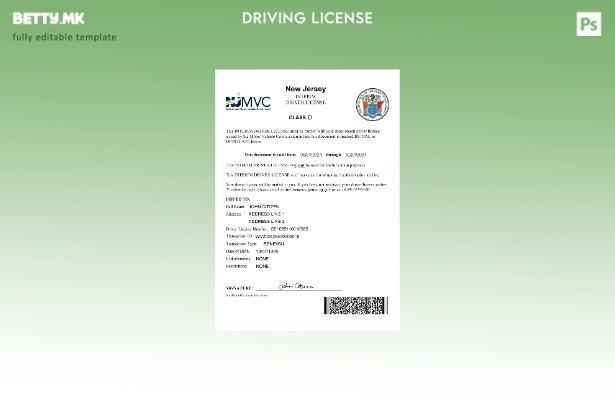 Модерен стил, шаблон за привремена возачка дозвола од Одделот за моторни возил 1